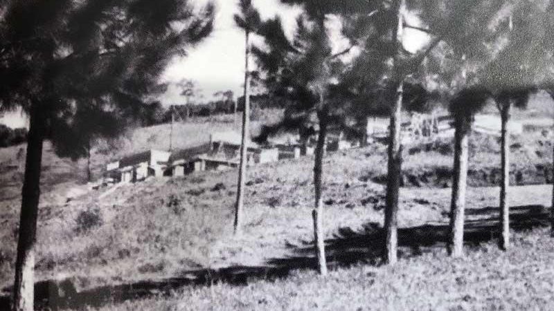 atibainha-35-anos-09-03