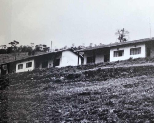 atibainha 35 anos 09 04