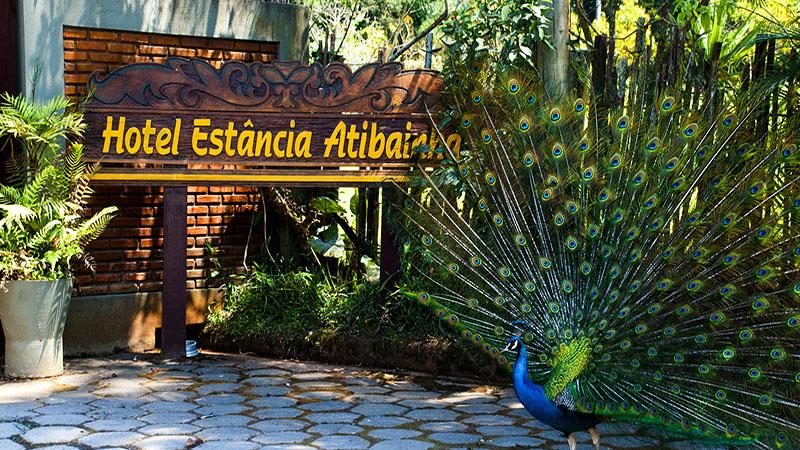 resort-sp-atibainha-hotel-044