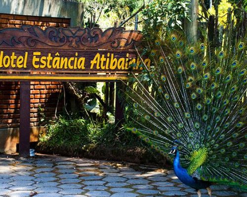 resort sp atibainha hotel 044